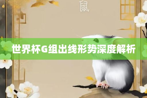 世界杯G组出线形势深度解析