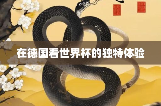 在德国看世界杯的独特体验洛阳市法福文化传播有限公司