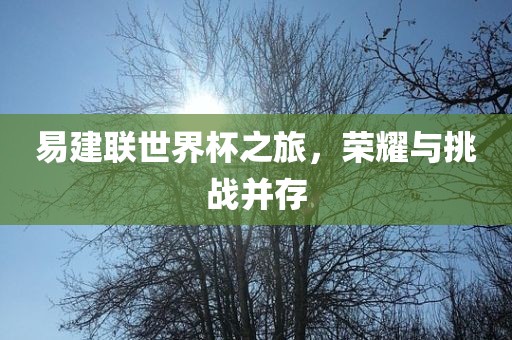 易建联世界杯之旅，荣耀与挑战并存洛阳市法福文化传播有限公司