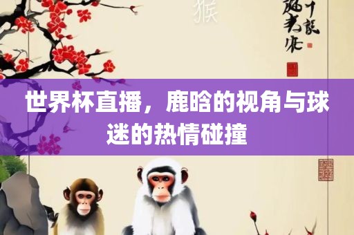 世界杯直播，鹿晗的视角与球迷的热情碰撞