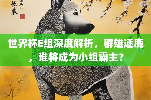 世界杯E组深度解析，群雄逐鹿，谁将成为小组霸主？