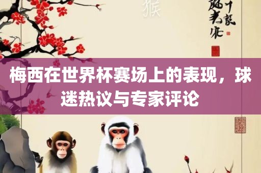 梅西在世界杯赛场上的表现，球迷热议与专家评论