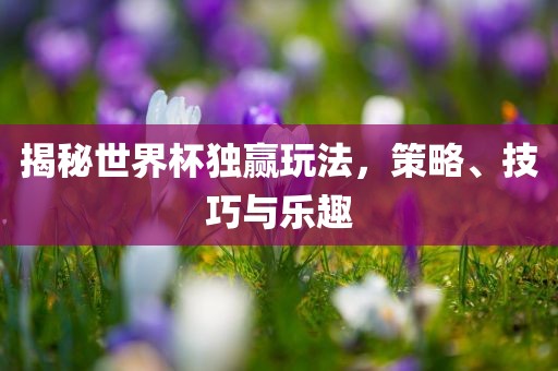 揭秘世界杯独赢玩法，策略、技巧与乐趣洛阳市法福文化传播有限公司