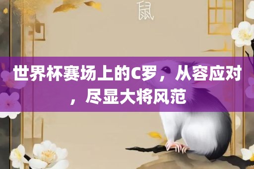 世界杯赛场上的C罗，从容应对，尽显大将风范
