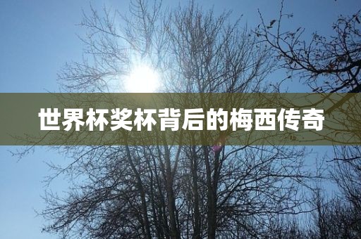 世界杯奖杯背后的梅西传奇