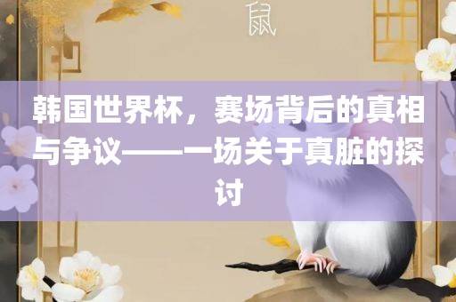 韩国世界杯，赛场背后的真相与争议——一场关于真脏的探讨