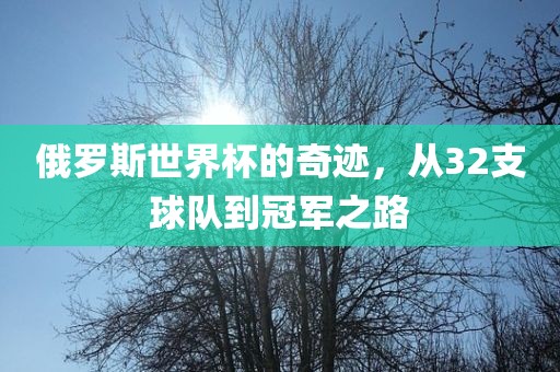 俄罗斯世界杯的奇迹，从32支球队到冠军之路