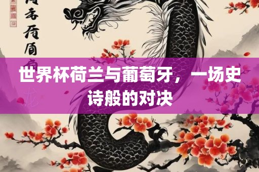 世界杯荷兰与葡萄牙，一场史诗般的对决