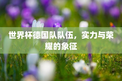 世界杯德国队队伍，实力与荣耀的象征