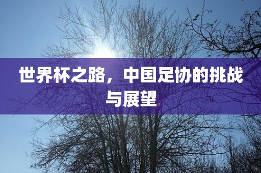 世界杯之路，中国足协的挑战与展望