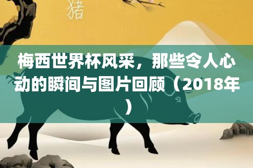 梅西世界杯风采，那些令人心动的瞬间与图片回顾（2018年）