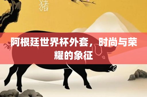 阿根廷世界杯外套，时尚与荣耀的象征