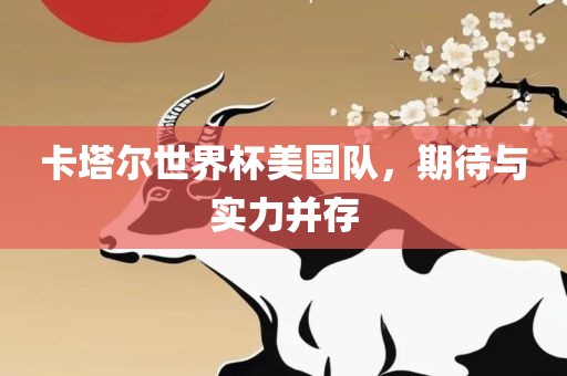 卡塔尔世界杯美国队，期待与实力并存
