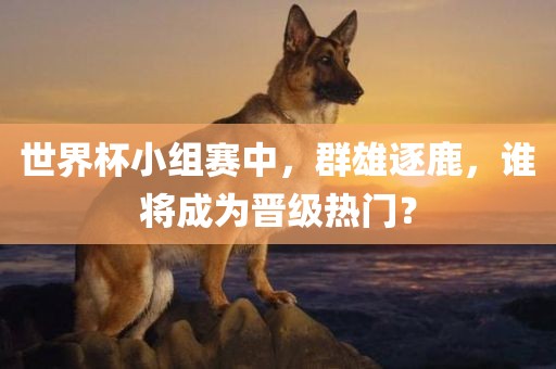 世界杯小组赛中，群雄逐鹿，谁将成为晋级热门？