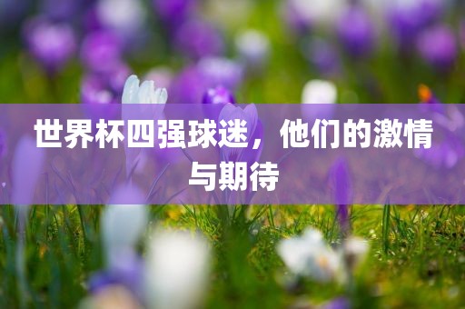 世界杯四强球迷，他们的激情与期待