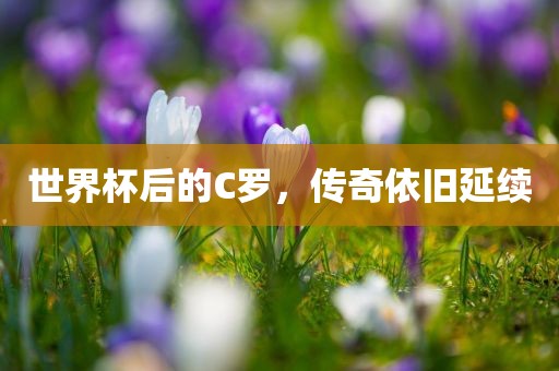 世界杯后的C罗，传奇依旧延续洛阳市法福文化传播有限公司