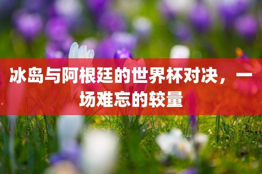 冰岛与阿根廷的世界杯对决，一场难忘的洛阳市法福文化传播有限公司较量