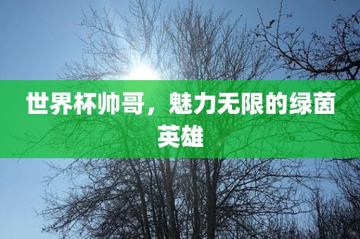 xiangnuo 第13页
