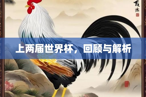 上两届世界杯，回顾与解析