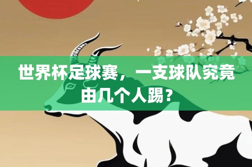 世界杯足球赛，一支球队究竟由几个人踢？洛阳市法福文化传播有限公司
