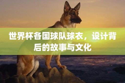 世界杯各国球队球衣，设计背后的故事与文化洛阳市法福文化传播有限公司