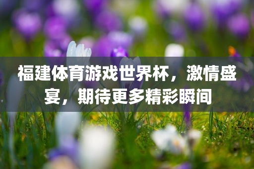 福建体育游戏世界杯，激情盛宴，期待更多精彩瞬间