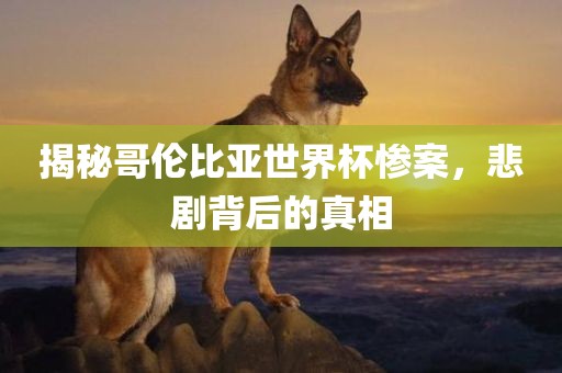 揭秘哥伦比亚世界杯惨案，悲剧背后的真相