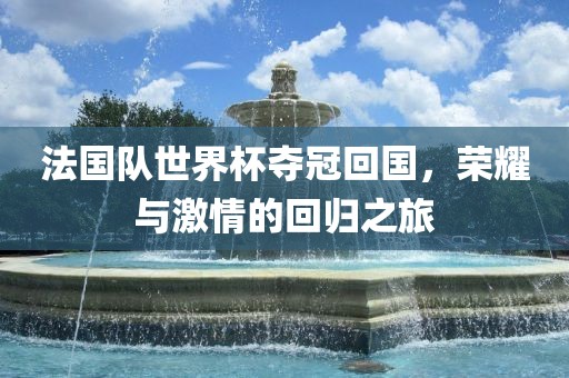 法国队世界杯夺冠回国，荣耀与激情的回归之旅