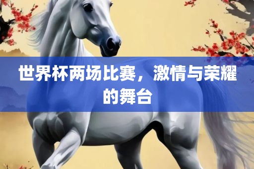 世界杯两场比赛，激情与荣耀的舞台
