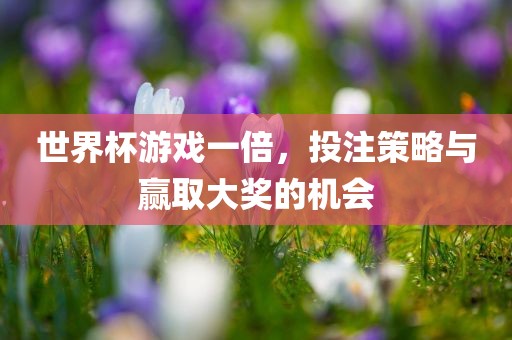 世界杯游戏一倍，投注策略与赢取大奖的机会洛阳市法福文化传播有限公司