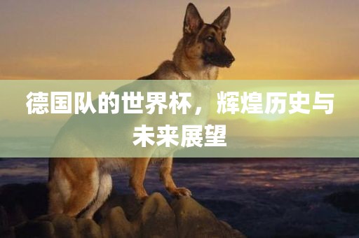 德国队的世界杯，辉煌历史与未来展望