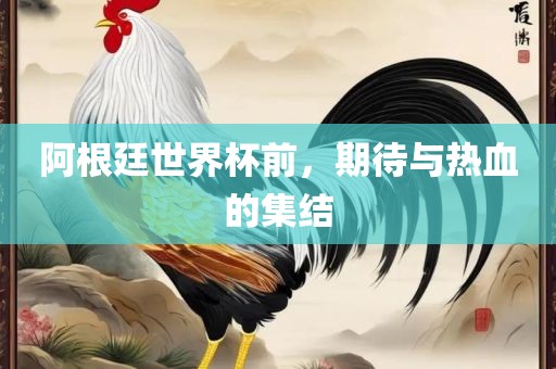 阿根廷世界杯前，期待与热血的集结