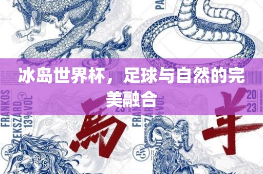 冰岛世界杯，足球与自然的完美融合