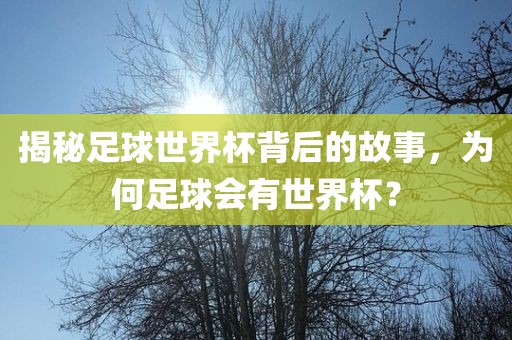 揭秘足球世界杯背后的故事，为何足球会有世界杯？