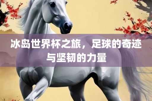 冰岛世界杯之旅，足球的奇迹与坚韧的力量