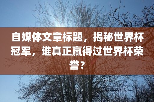 自媒体文章标题，揭秘世界杯冠军，谁真正赢得过世界杯荣誉？