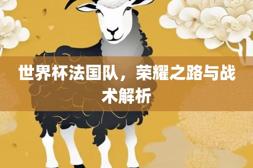 世界杯法国队，荣耀之路与战术解析