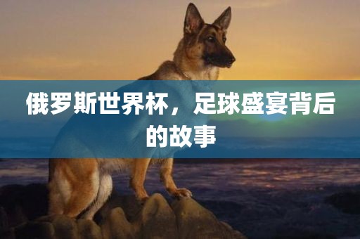 俄罗斯世界杯，足球盛宴背后的故事
