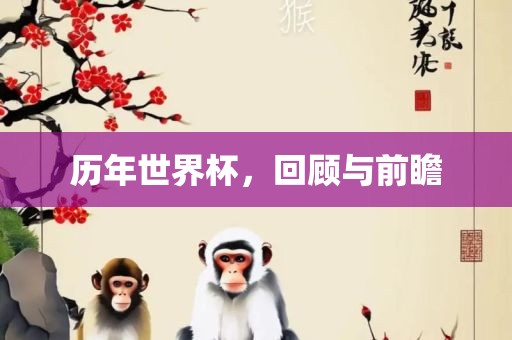 历年世界杯，回顾与前瞻洛阳市法福文化传播有限公司