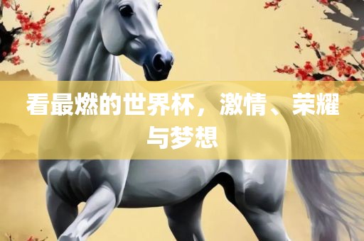 看最燃的世界杯，激情、荣耀与梦想洛阳市法福文化传播有限公司