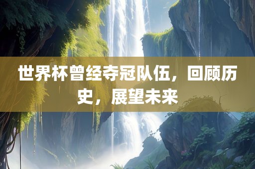 世界杯曾经夺冠队伍，回顾历史，展望未来