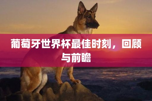葡萄牙世界杯最佳时刻，回顾与前瞻洛阳市法福文化传播有限公司