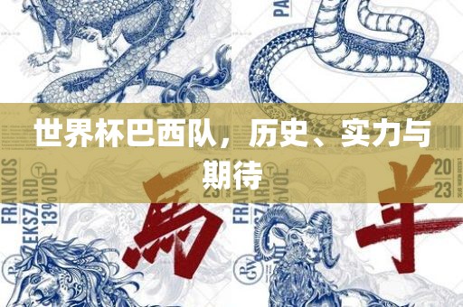 世界杯巴西队，历史、实力与期待