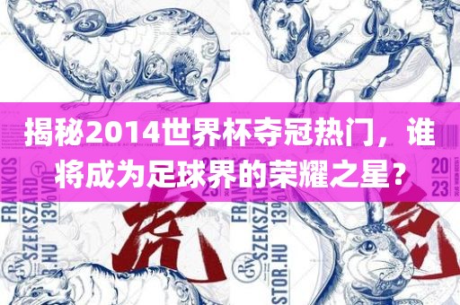 揭秘2014世界杯夺冠热门，谁将成为足球界的荣耀之星？