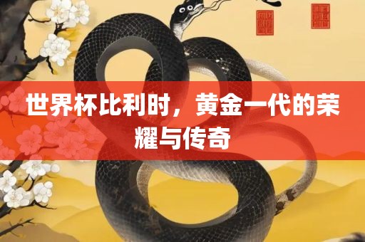 世界杯比利时，黄金一代的荣耀与传奇