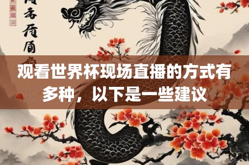 观看世界杯现场直播的方式有多种，以下是一些建议洛阳市法福文化传播有限公司