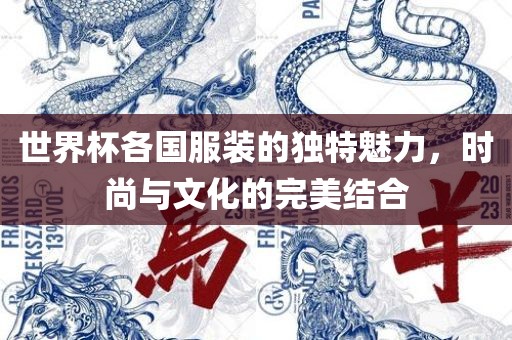 世界杯各国服装的独特魅力，时尚与文化的完美结合