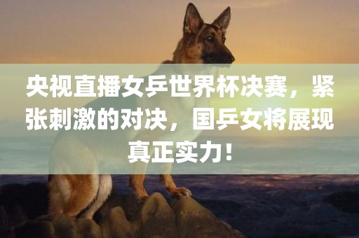 央视直播女乒世界杯决赛，紧张刺激的对决，国乒女将展现真正实力！