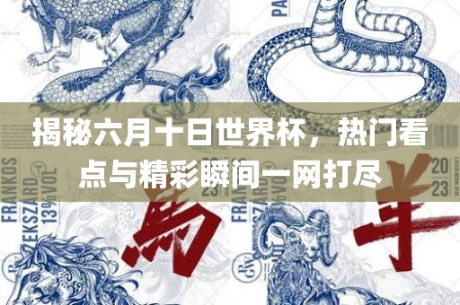 揭秘六月十日世界杯，热门看点与精彩瞬间一网打尽洛阳市法福文化传播有限公司