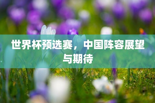 世界杯预选赛，中国阵容展望与期待洛阳市法福文化传播有限公司